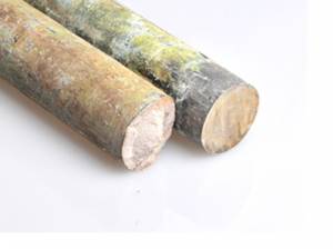 W 钨棒 纯度99.95%