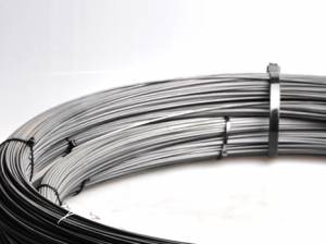 W 钨丝 纯度99.95%